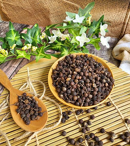 Cubeb Tailed Pepper