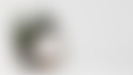 理想の暮らしとインテリアをかなえる引っ越し、面倒なことって実は？