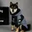 Thumbnail: Dog Raincoat Hoodie