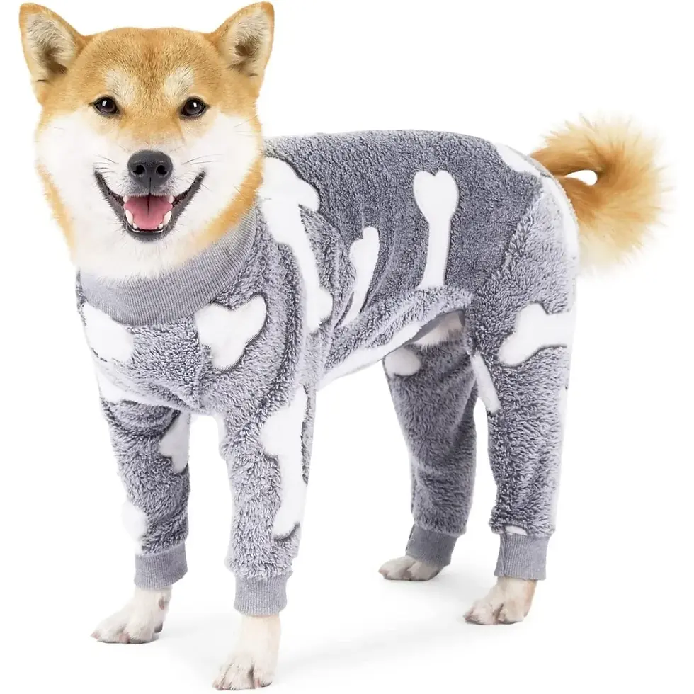 Thumbnail: Winter Onesie Pajamas