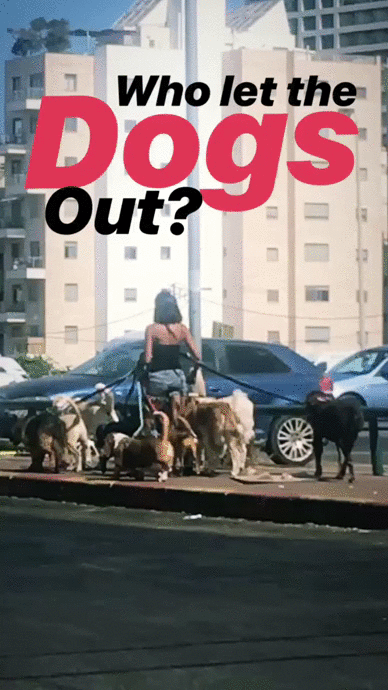 video_5f9bb3f6f85b41d3a81e617e04f80c9f