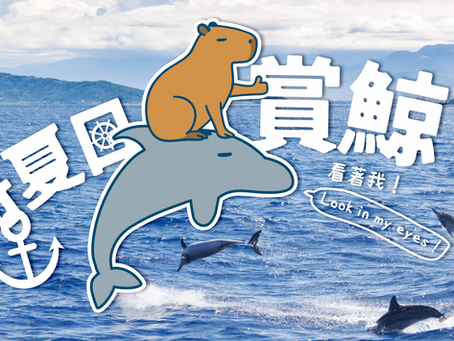 2025年【鯨奇夏日・賞鯨】住房專案