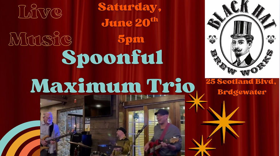 Live Music with Spoonful Maximum Trio