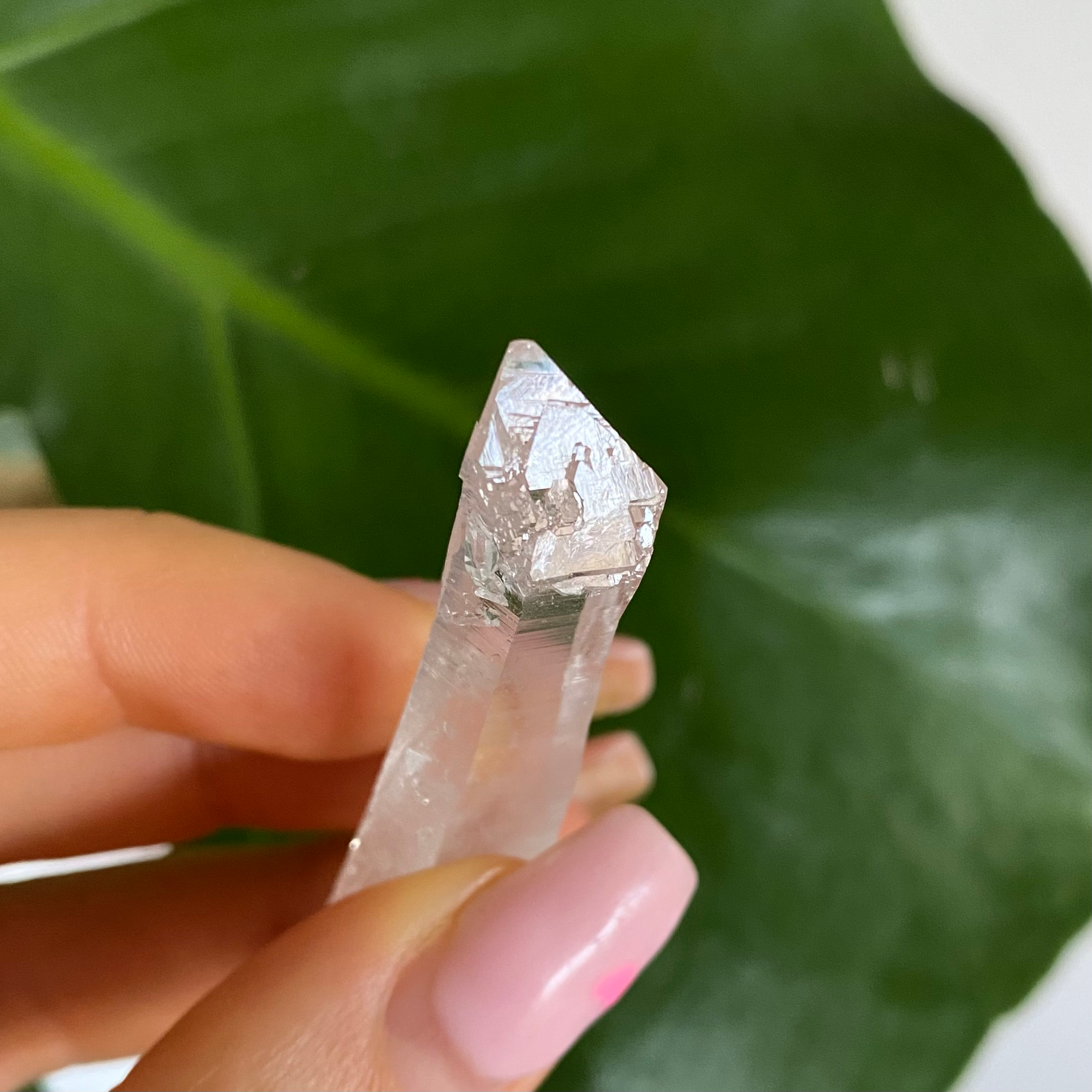 Elestial Tip Lemurian Quartz Seed
