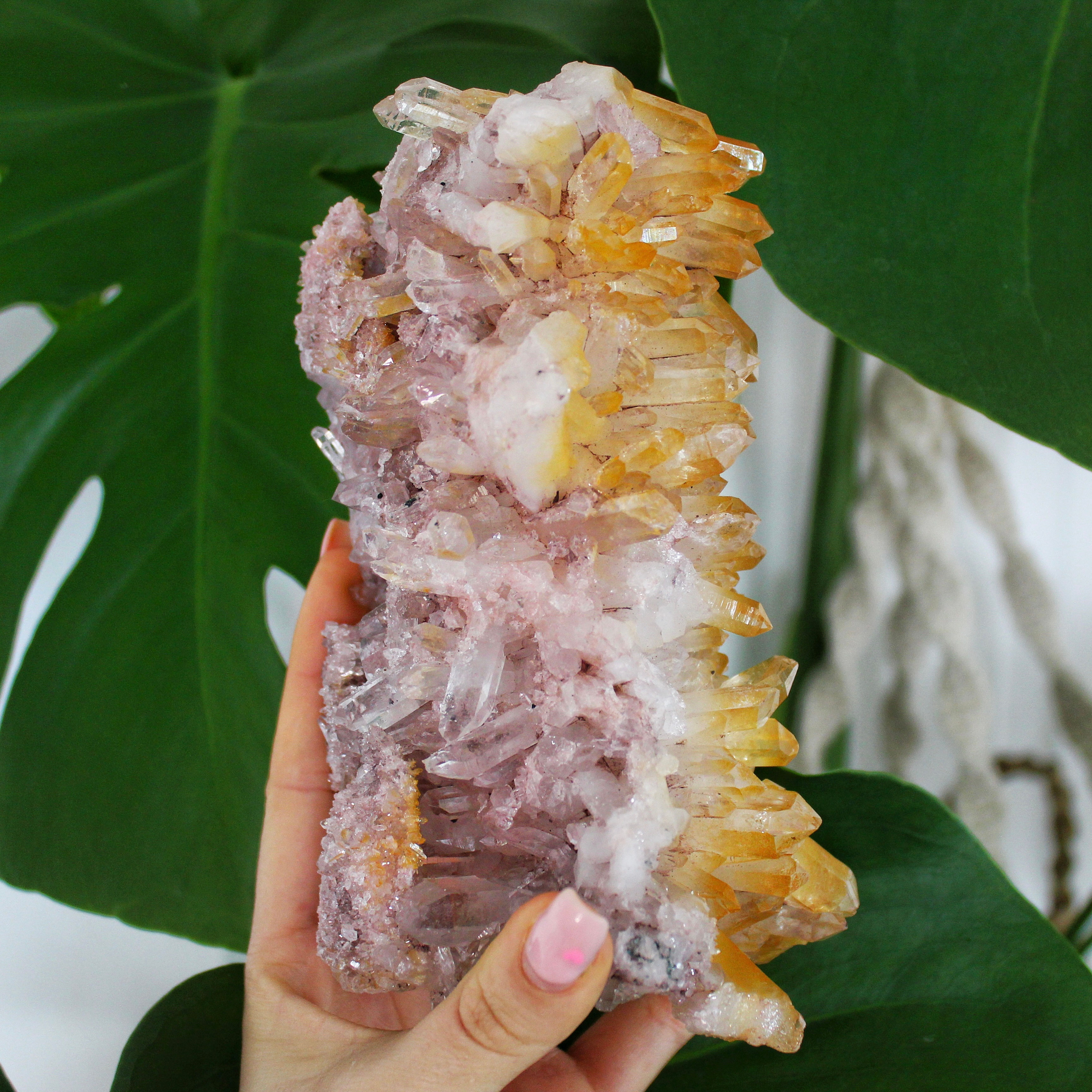 Pink Lemurian / Golden Healer 