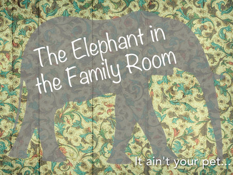 Every Family Has "Elephants"