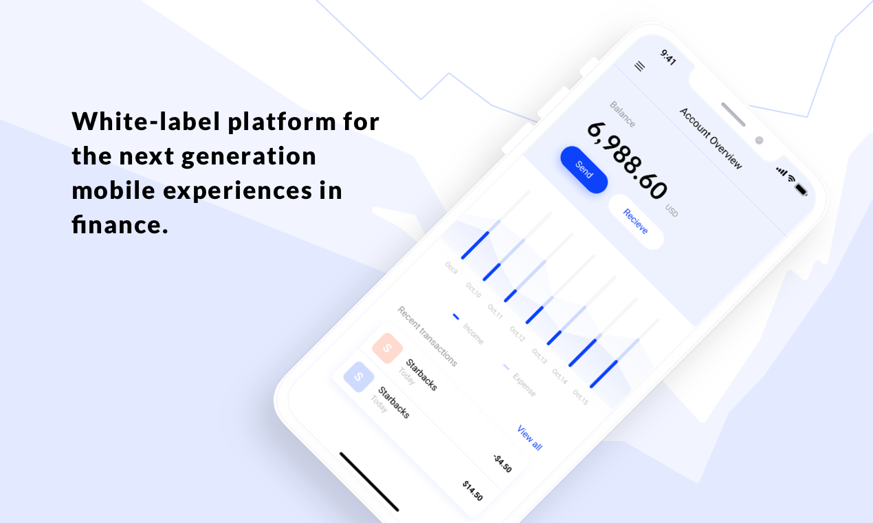 White Label Digital Wallet Platform Velmie - White label mobile wallet