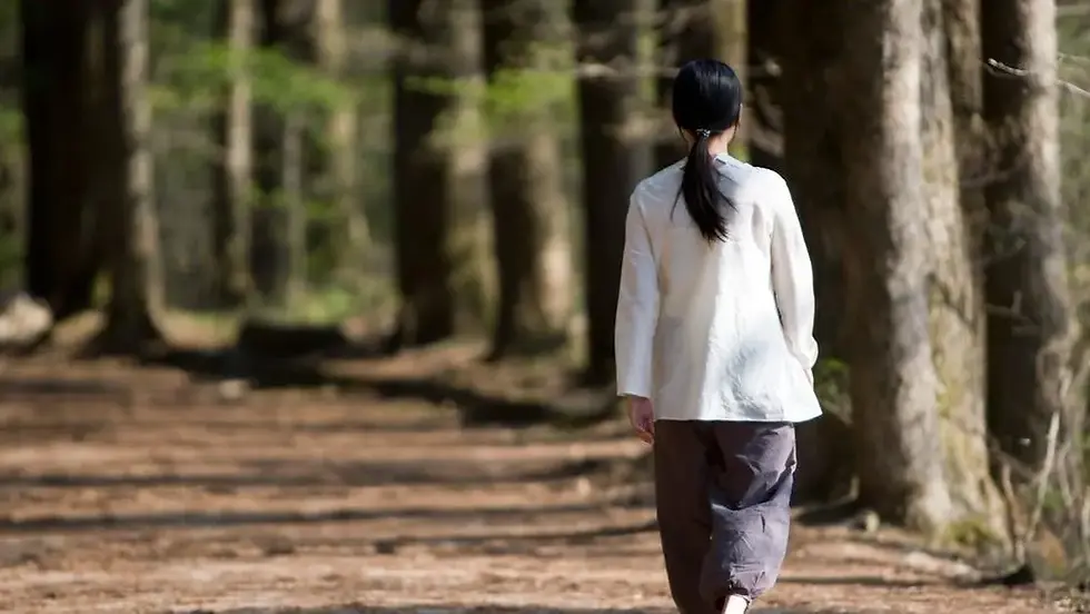 Investing Made Simple: A Beginner’s Guide