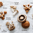 cooking-different-types-of-mushrooms-infographic.jpg