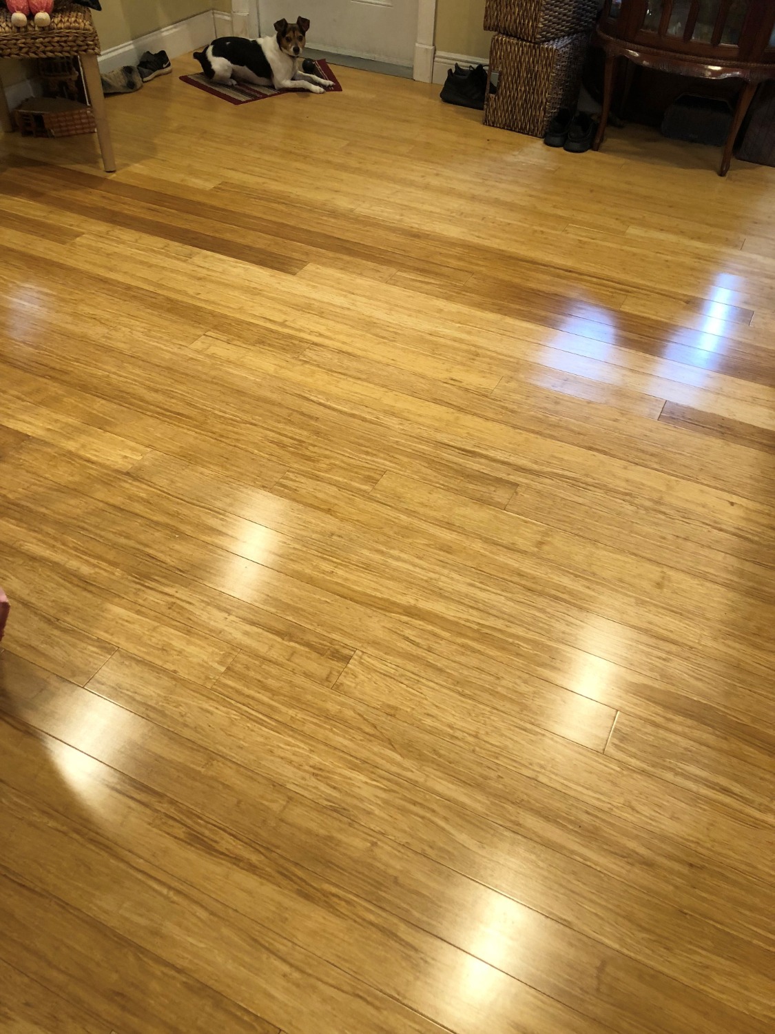 Flooring South Florida Elegant Floors Inc