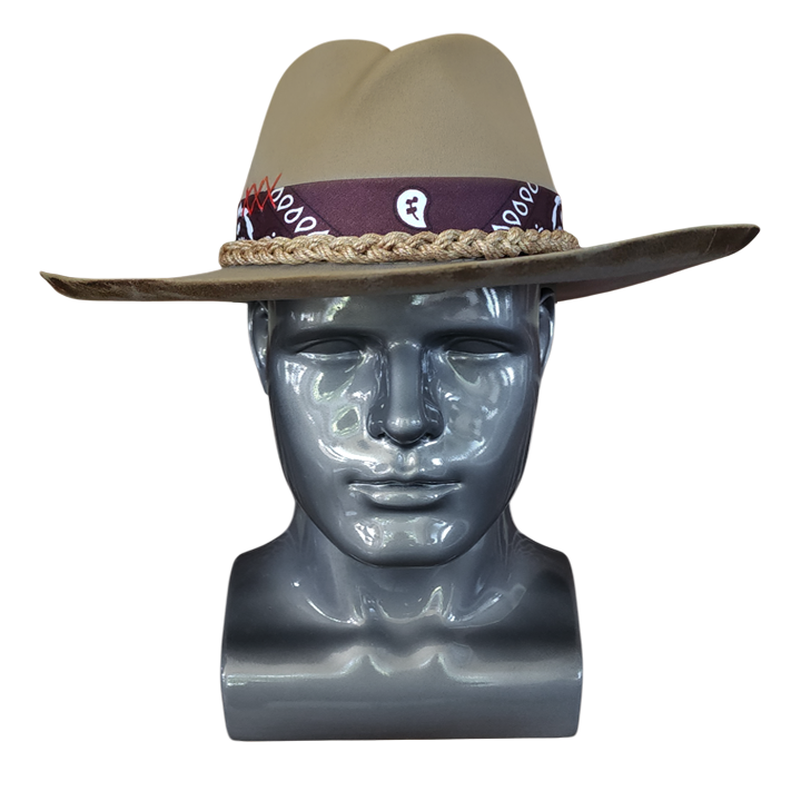 Thumbnail: DESERT VAGABOND