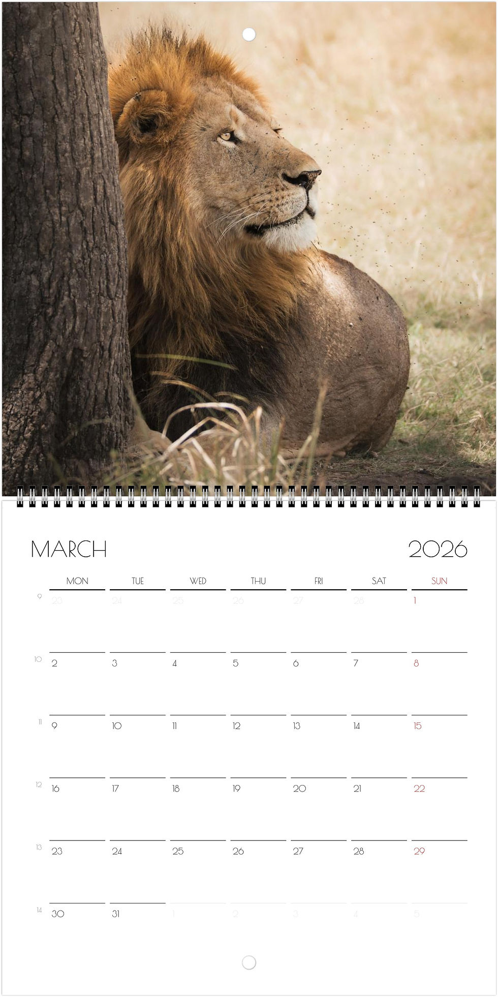 Thumbnail: Kenya Wildlife Calendar 2026 (Square - 21x21cm)