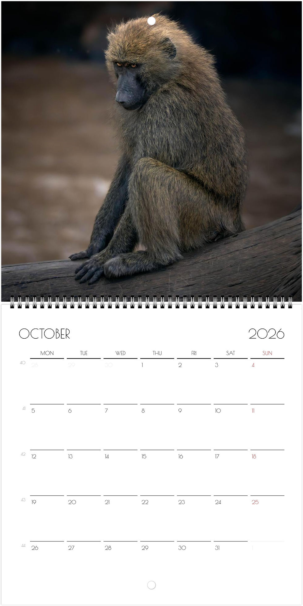 Thumbnail: Kenya Wildlife Calendar 2026 (Square - 21x21cm)