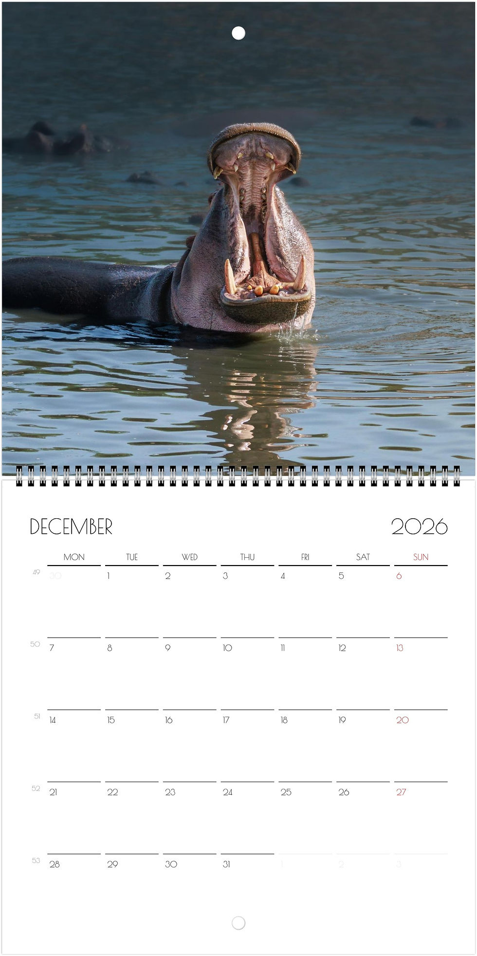Thumbnail: Kenya Wildlife Calendar 2026 (Square - 21x21cm)