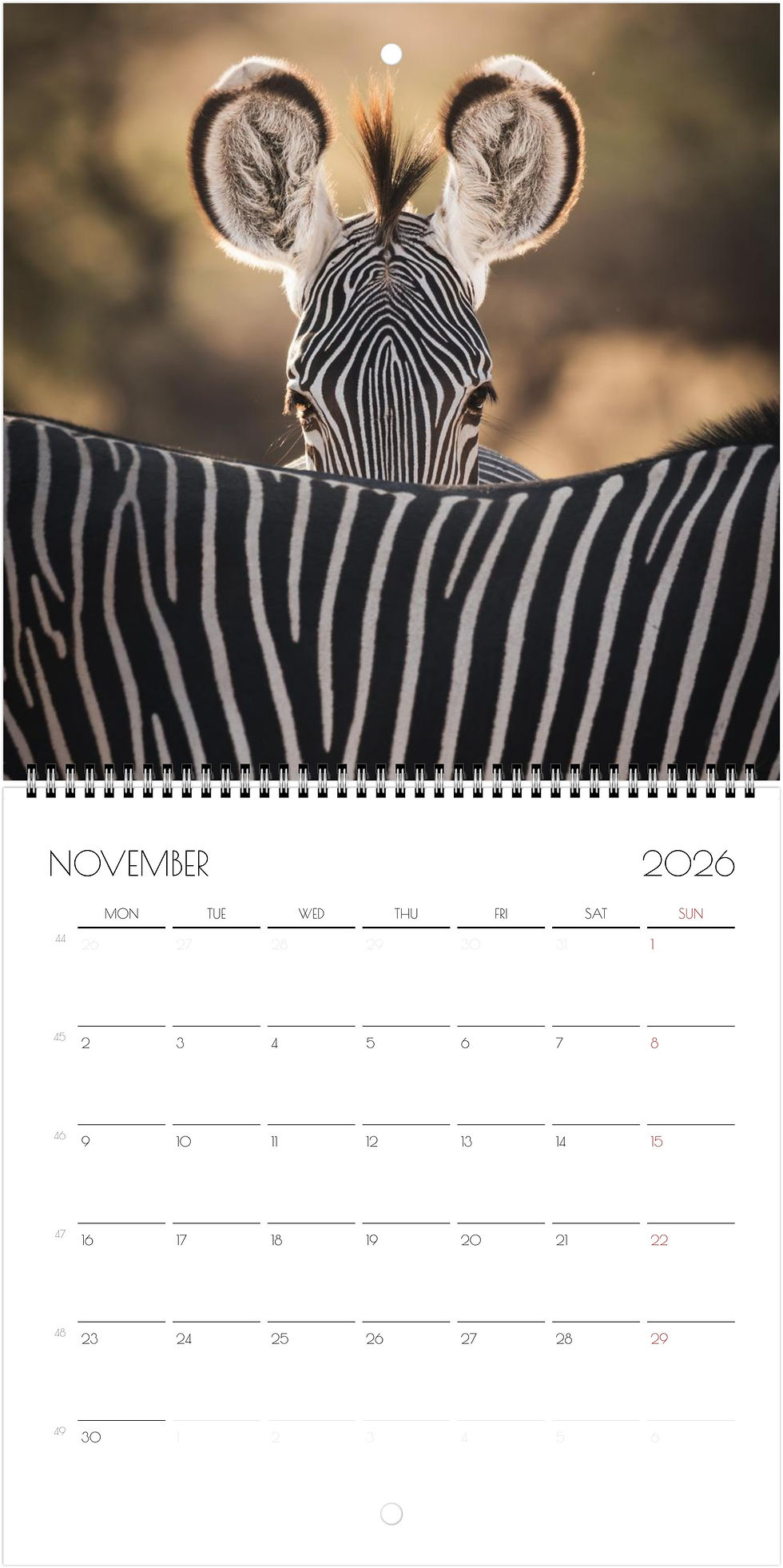 Thumbnail: Kenya Wildlife Calendar 2026 (Square - 21x21cm)