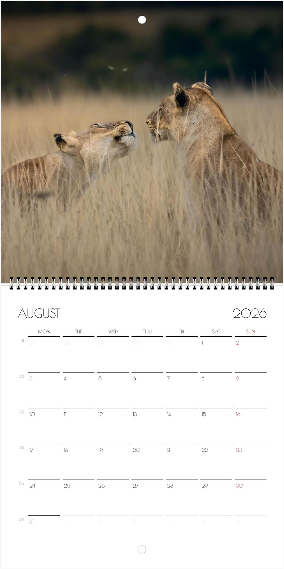Thumbnail: Kenya Wildlife Calendar 2026 (Square - 21x21cm)
