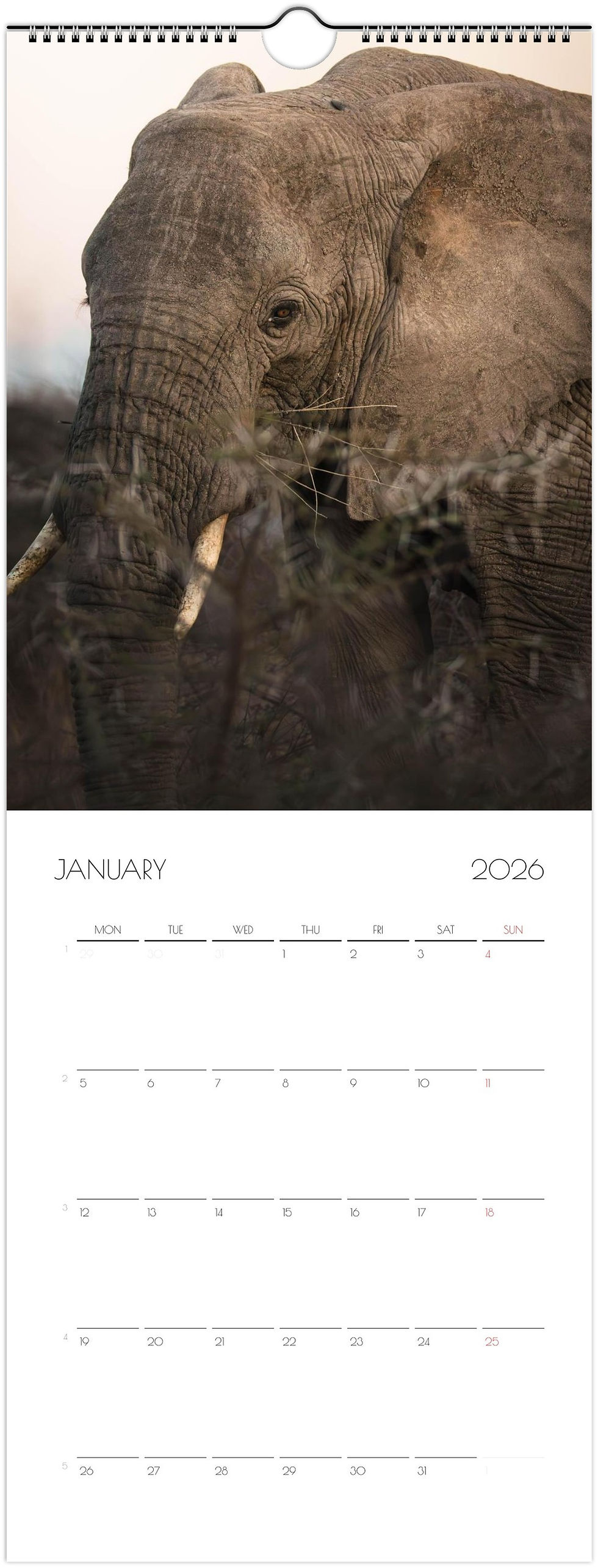 Thumbnail: Wall calendars 2026 Vertical ( 14.8x40 cm)