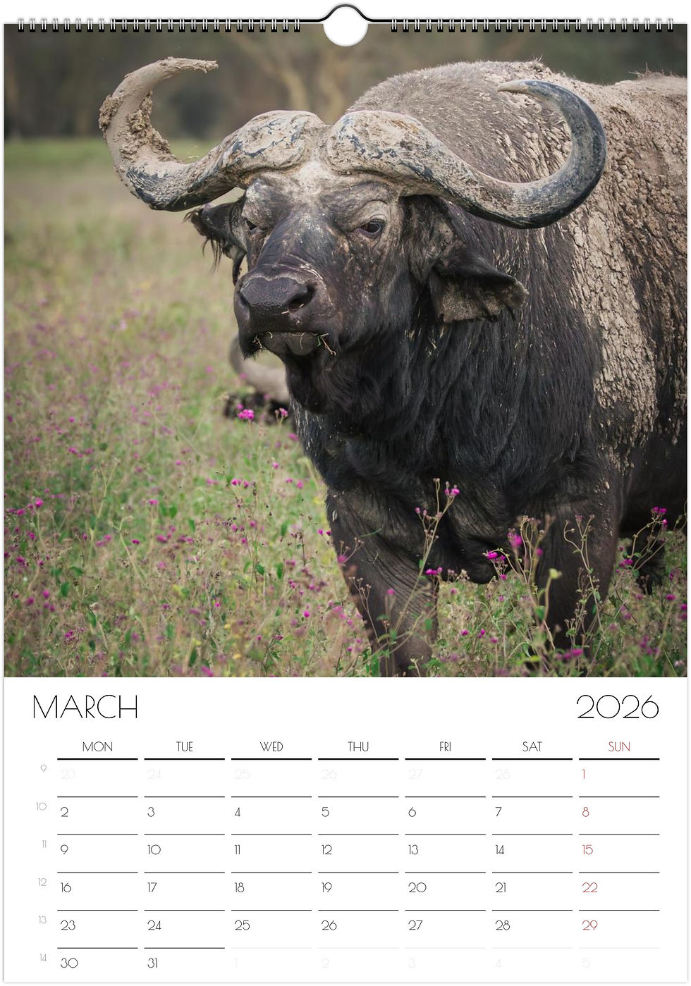 Thumbnail: Kenya Wildlife Calendar 2026 Large A3