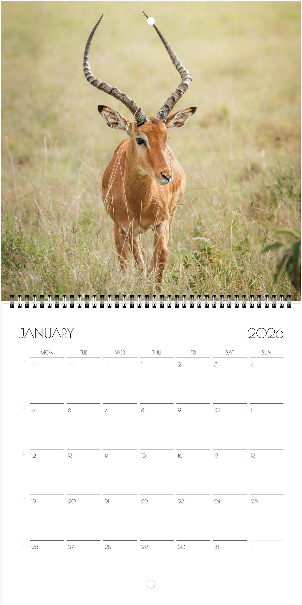 Thumbnail: Kenya Wildlife Calendar 2026 (Square - 21x21cm)