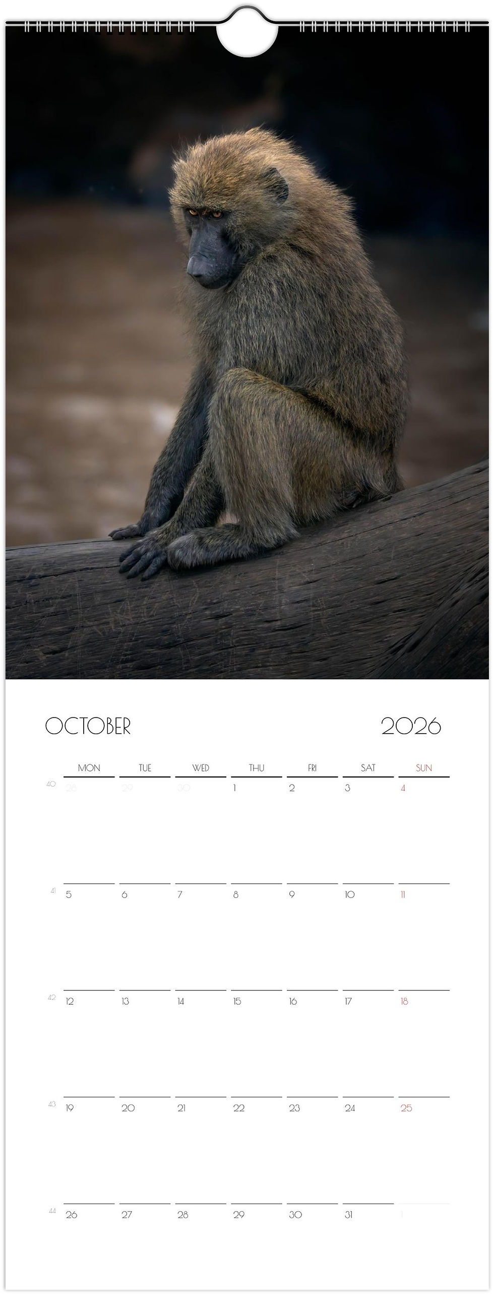 Thumbnail: Wall calendars 2026 Vertical ( 14.8x40 cm)
