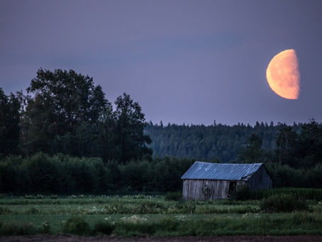 Finding Our Way in the Dark