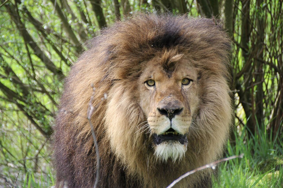 Greater Vancouver Zoo Field Trip