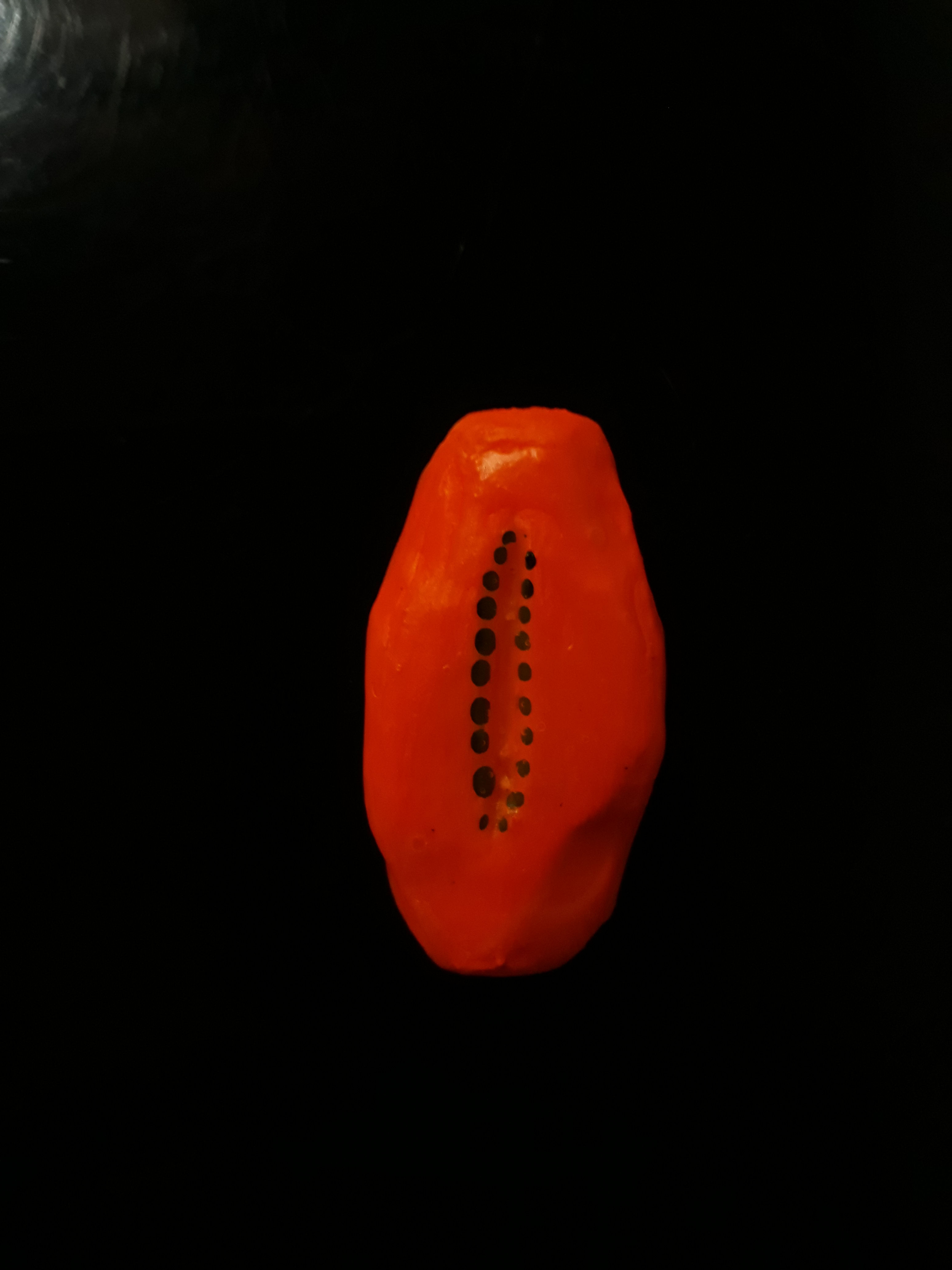 tótem0018