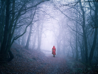 Little Red Riding Hood