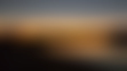 Hidden Oasis Newsletter: March 2025 Edition