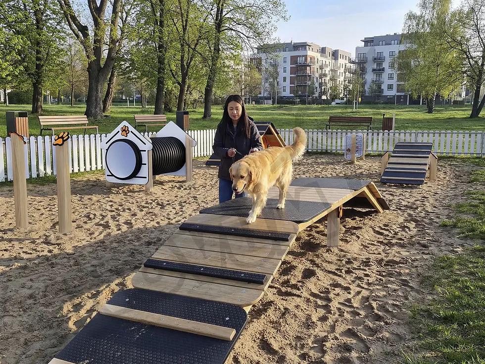 Sīktēls: Agility tunelis