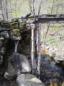 P2.jpg