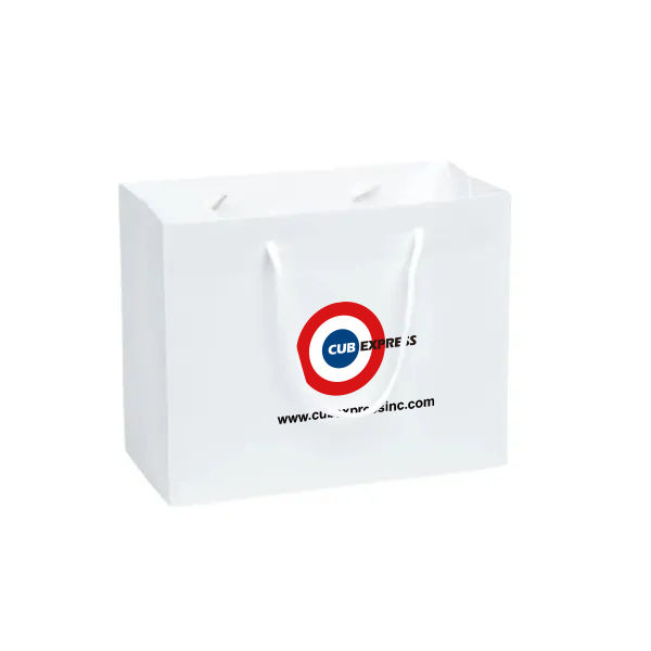 CM507 Custom White Cardboard Bag with Handle