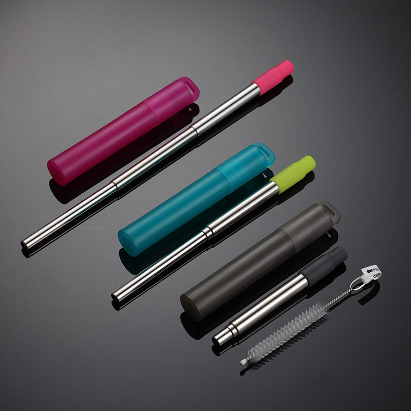 Collapsible Stainless Steel Straw Kit