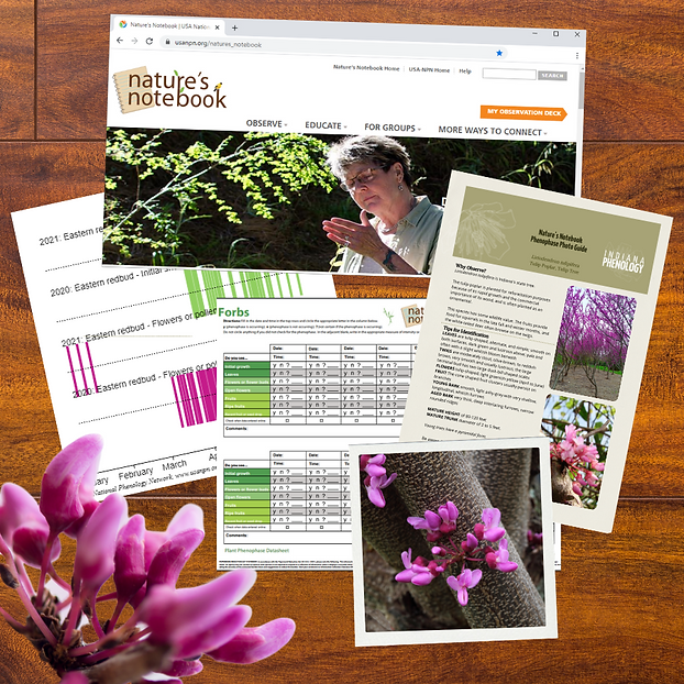 Copy of Brown and Beige Realistic Education For Students Desktop Wallpaper.png