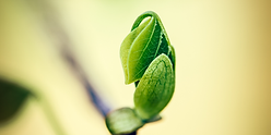 Untitled design (12).png