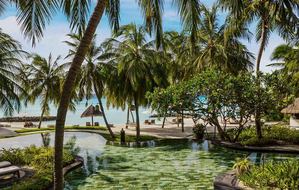 Familien Pool - ONE&ONLY Reethi Ra