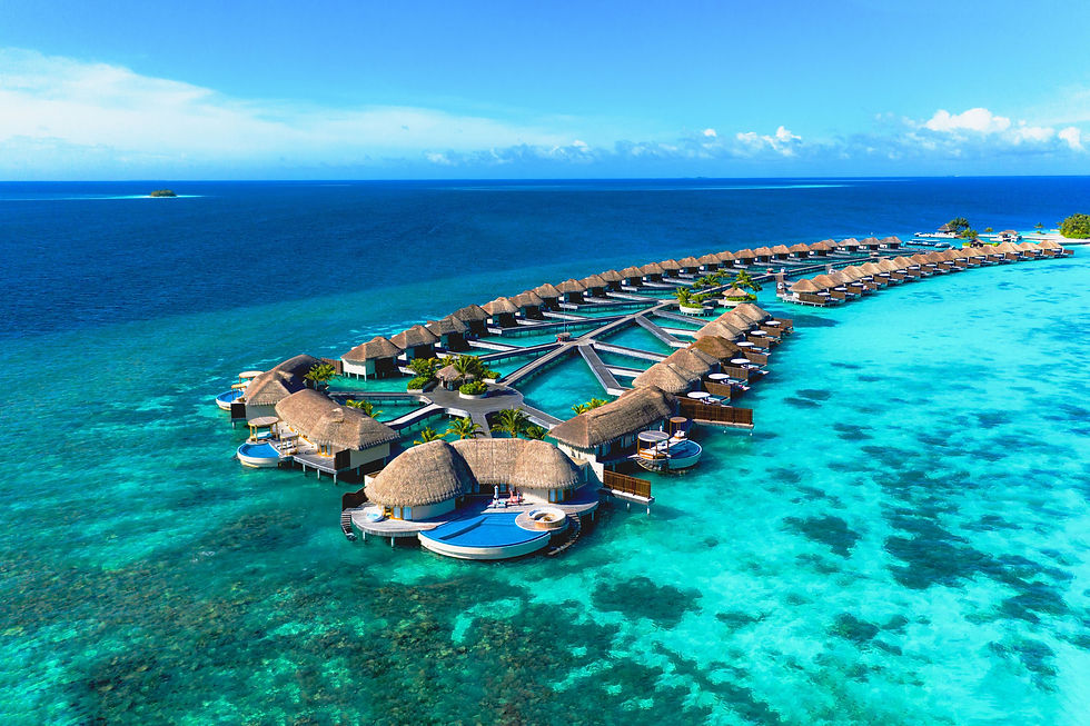 W Maldives dein Urlaubsziel