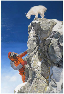 49081728_2310364465704791_75412854315270