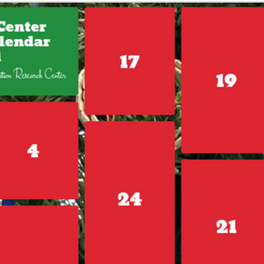 Virtual Advent Calendar