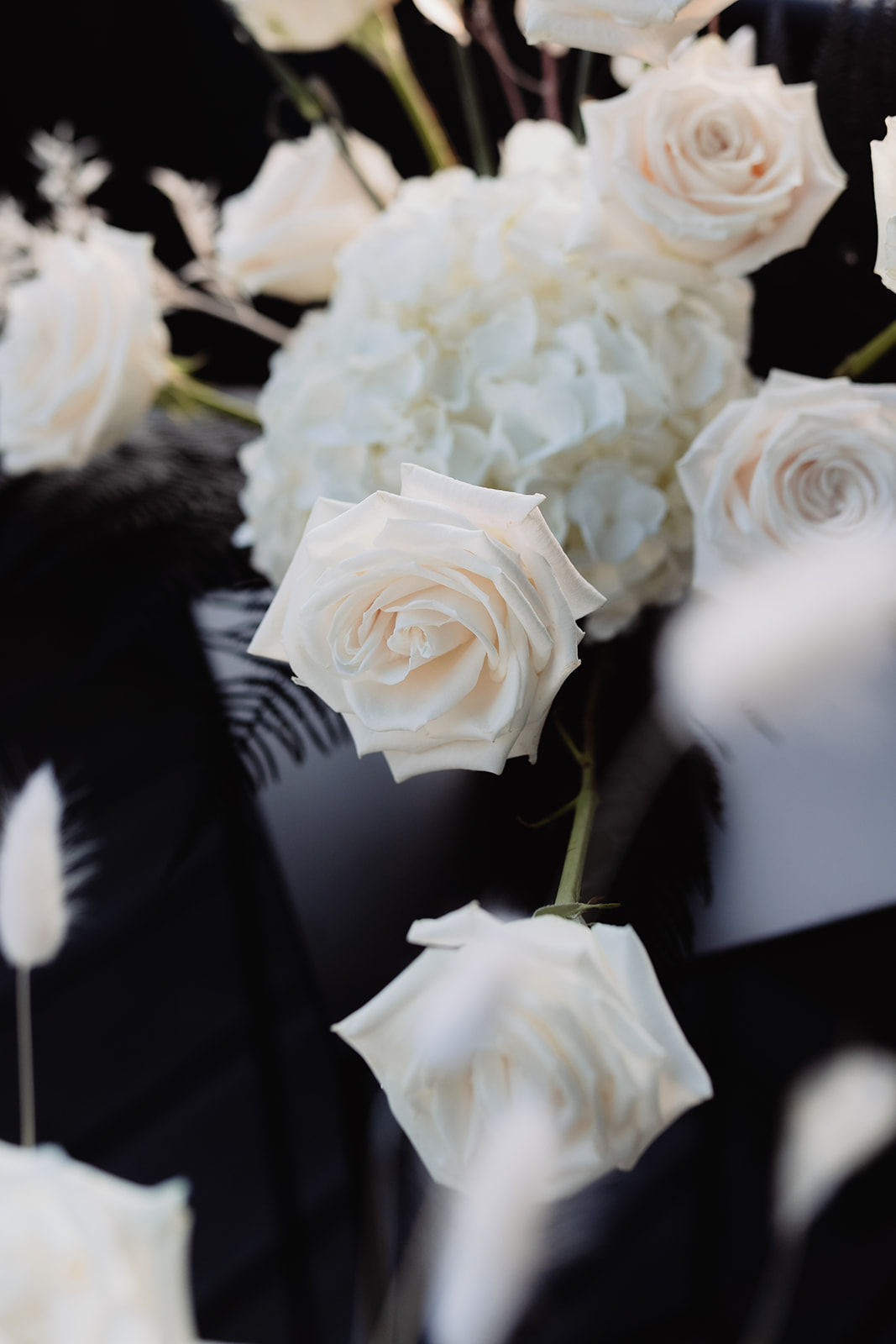 Weiße Rosen