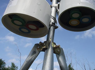 Location #2 - Sample Heads.JPG