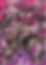 generativeart_0002_13.png.png