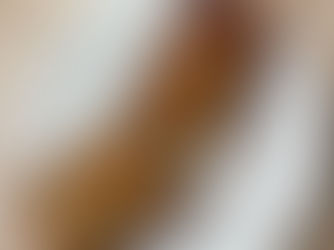 Recette de mon Banana Bread Protéiné & Rassasiant. Le Petit-Déjeuner Gourmand qui Vous Veut du Bien ! 