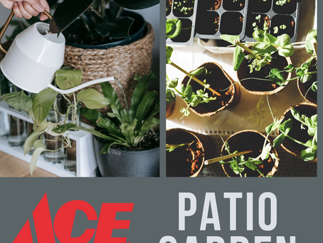 Plan A Patio Garden