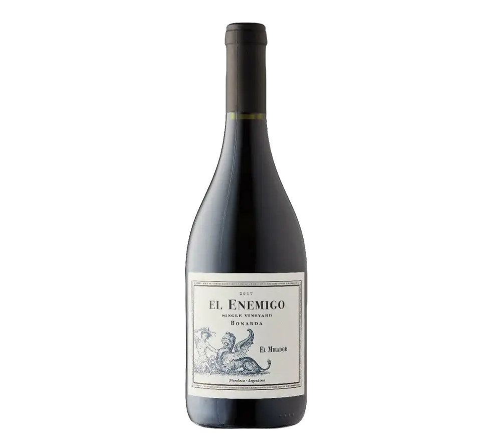El Enemigo Single Vineyard El Mirador Bonarda