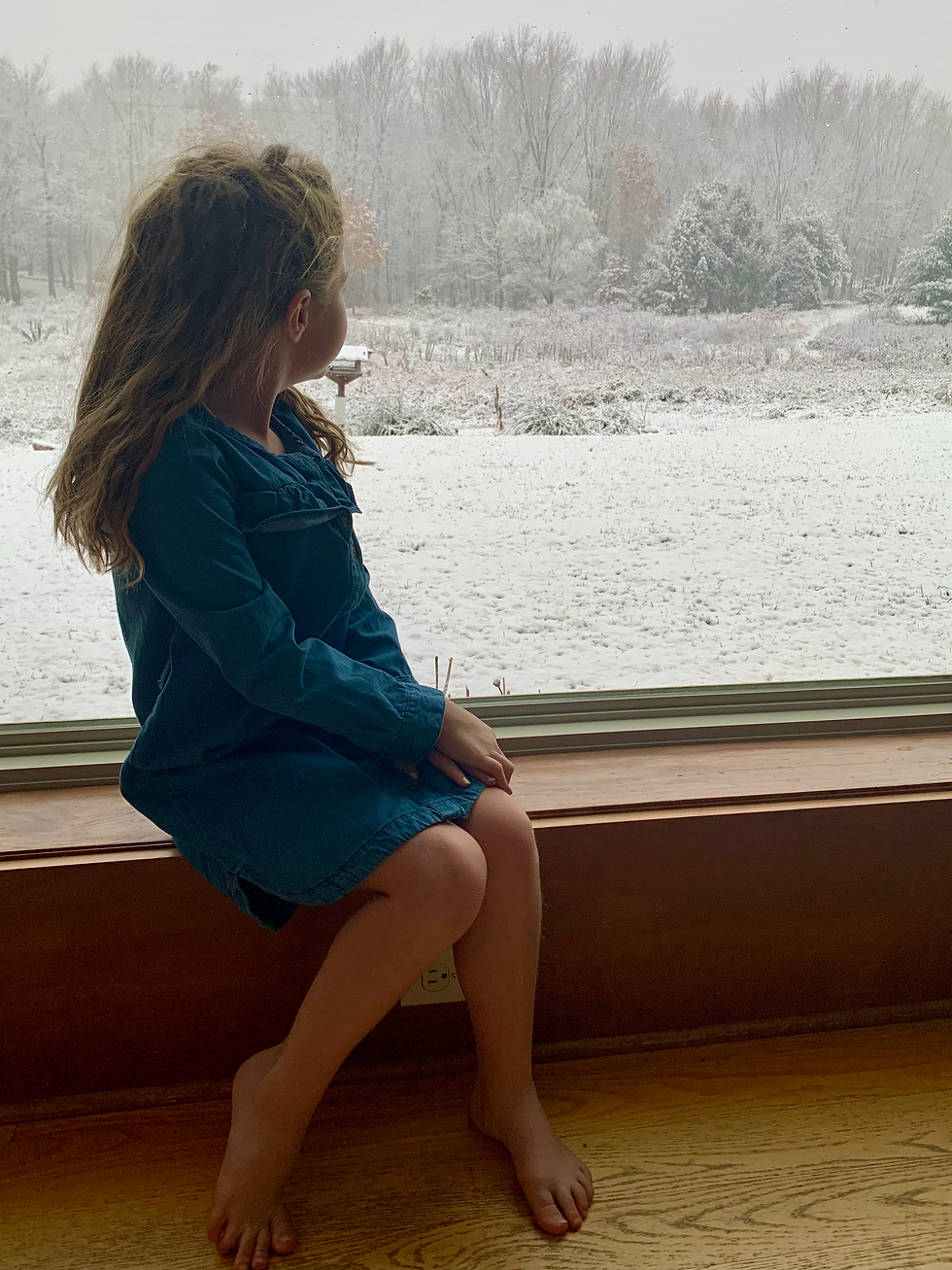 Maintaining your windows after installation can create lasting views.