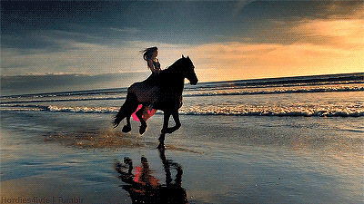 beach sunset horse riding.gif