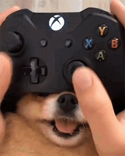 pupnose controller.gif