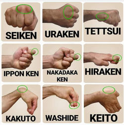 71178203_2754592164585938_50540656398706