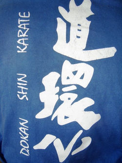 298635_272087806169732_571691671_n